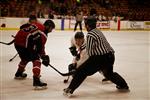 Danville Dashers 